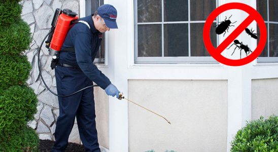 Narlıdere Hamam Böceği İlaçlama böcek ilaçlama ve haşere kontrolü — ilaclama-tr.com